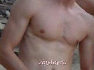 2bigtoy4u