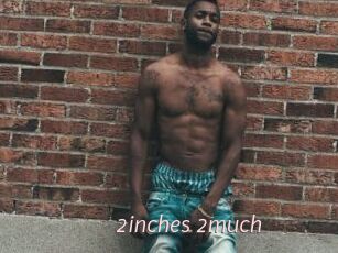2inches_2much