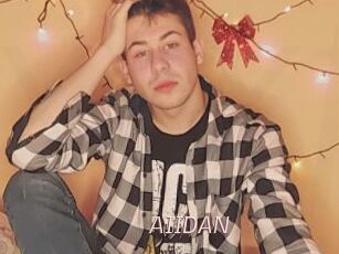 AIIDAN
