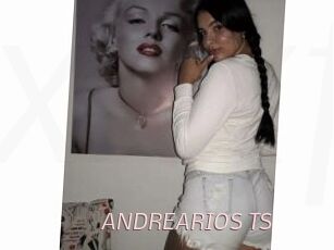 ANDREARIOS_TS