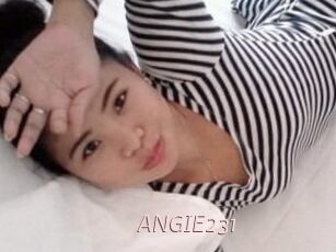 ANGIE231