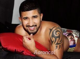Aaroncat