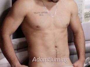 AdamBurning