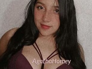 AgathaHorney