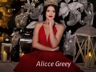 Alicce_Greey
