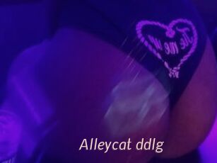 Alleycat_ddlg