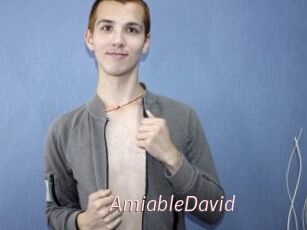 AmiableDavid