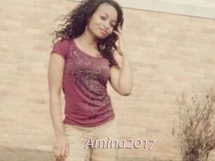 Amina2017