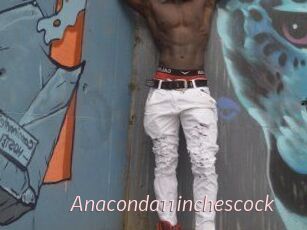 Anaconda11inchescock