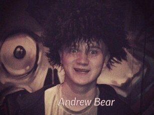 Andrew_Bear