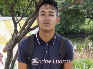 Andrw_Luara1