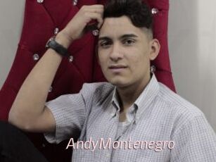AndyMontenegro