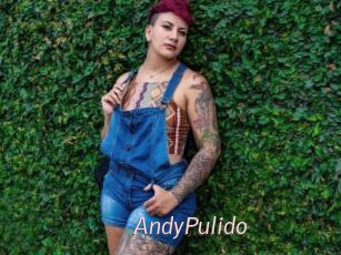 AndyPulido