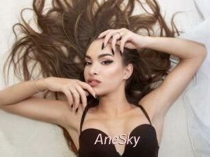 AneSky