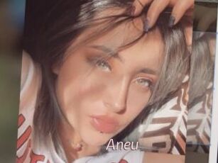 Aneu