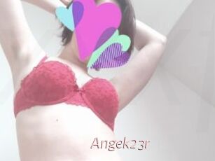 Angek23r
