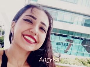 AngyKat