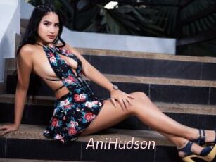 AniHudson
