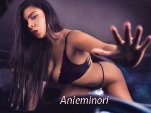 Anieminori