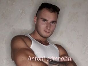 Antoni_adrenal1n