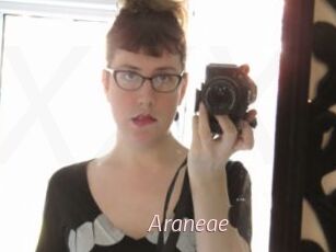 Araneae