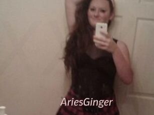 AriesGinger