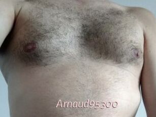 Arnaud95300