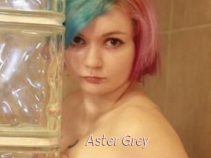 Aster_Grey