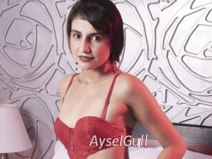 AyselGull