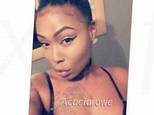Acacia_rowe