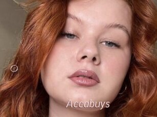 Accabuys