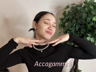 Accagammell
