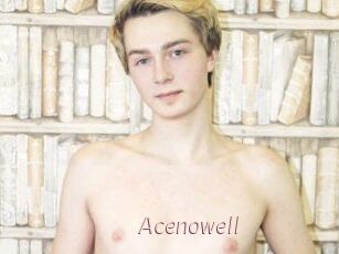 Acenowell