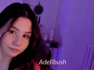 Adellbush