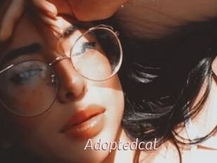Adoptedcat