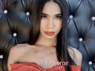 Adrianarae