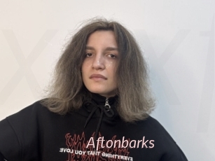 Aftonbarks
