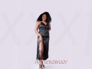 Agnesawuor