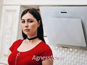 Agnessflower