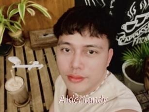 Aidenlandy