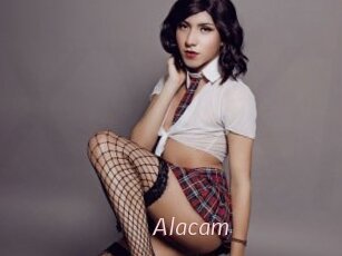 Alacam
