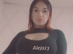 Aleja23