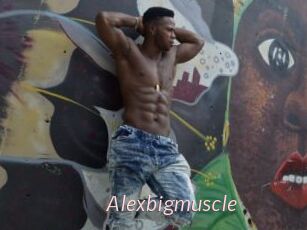 Alexbigmuscle
