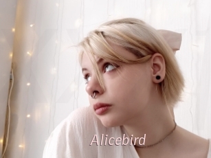 alicebird xxx Free Sites