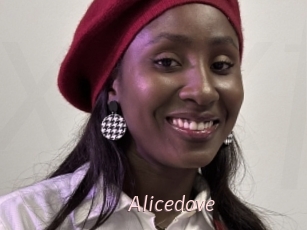 Alicedove