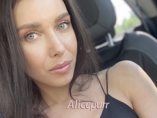 Alicepurr