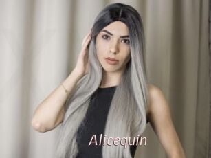 Alicequin