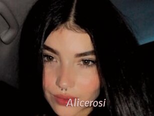 Alicerosi