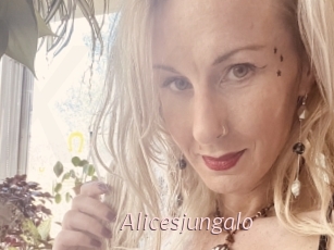 Alicesjungalo