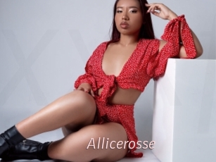 Allicerosse